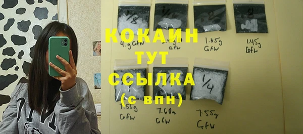 индика Алексеевка