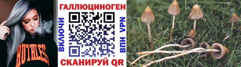 Галлюциногенные грибы MAGIC MUSHROOMS  сколько стоит  Мурино 